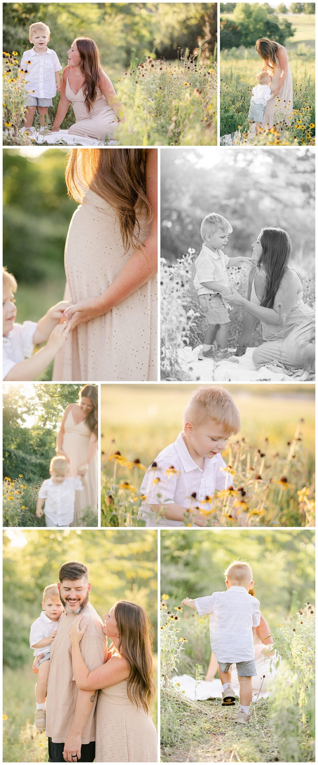 collage of young family in black-eyed susan field behind the Red Barn on Auburn University's campus by Auburn Family Photographer.